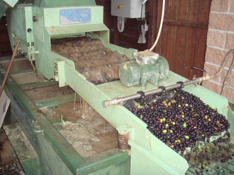 fabrication huile d'olive