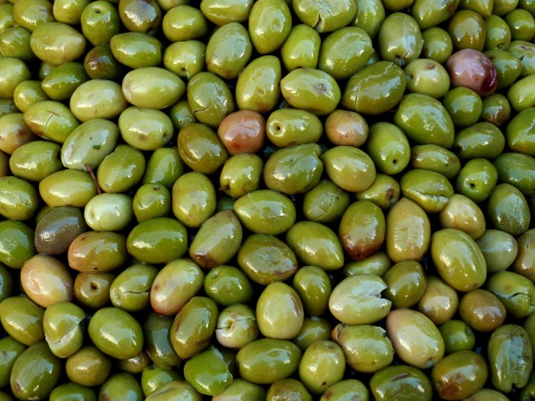 Commerce des olives