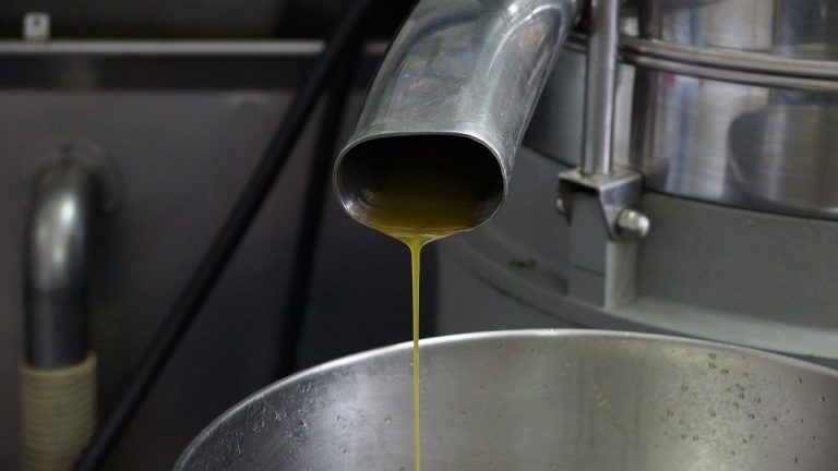 evoo huile d'olive extra vierge