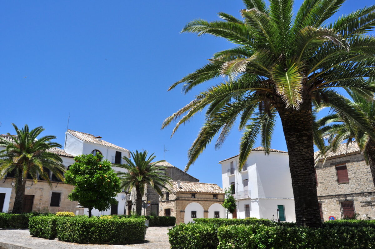 oleotourisme